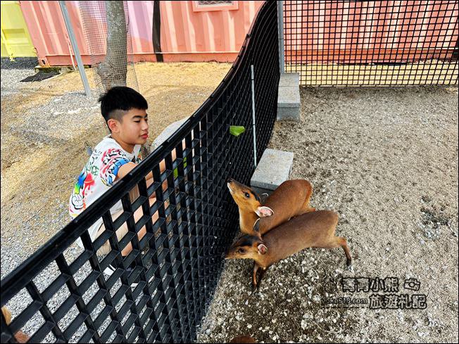 宜蘭新景點》星夢森林劇場動物樂園~來找會握手的水豚君,太可愛太療癒 @青青小熊*旅遊札記 宜蘭新景點》星夢森林劇場動物樂園~來找會握手的水豚君,太可愛太療癒 @青青小熊*旅遊札記