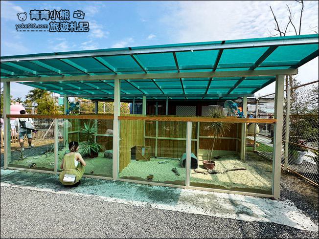 宜蘭新景點》星夢森林劇場動物樂園~來找會握手的水豚君,太可愛太療癒 @青青小熊*旅遊札記