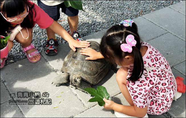 宜蘭新景點》星夢森林劇場動物樂園~來找會握手的水豚君,太可愛太療癒 @青青小熊*旅遊札記