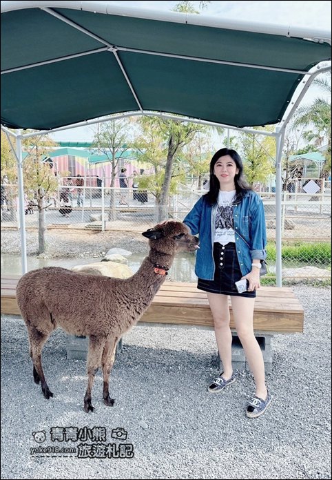 宜蘭新景點》星夢森林劇場動物樂園~來找會握手的水豚君，太可愛太療癒 @青青小熊＊旅遊札記