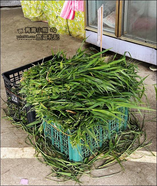 桃園親子景點》陽榮生態農場．可以撈魚釣青蛙、餵小羊，還有可愛的小動物都在這 @青青小熊＊旅遊札記