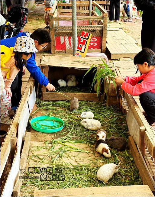 桃園親子景點》陽榮生態農場.可以撈魚釣青蛙、餵小羊,還有可愛的小動物都在這 @青青小熊*旅遊札記 桃園親子景點》陽榮生態農場.可以撈魚釣青蛙、餵小羊,還有可愛的小動物都在這 @青青小熊*旅遊札記