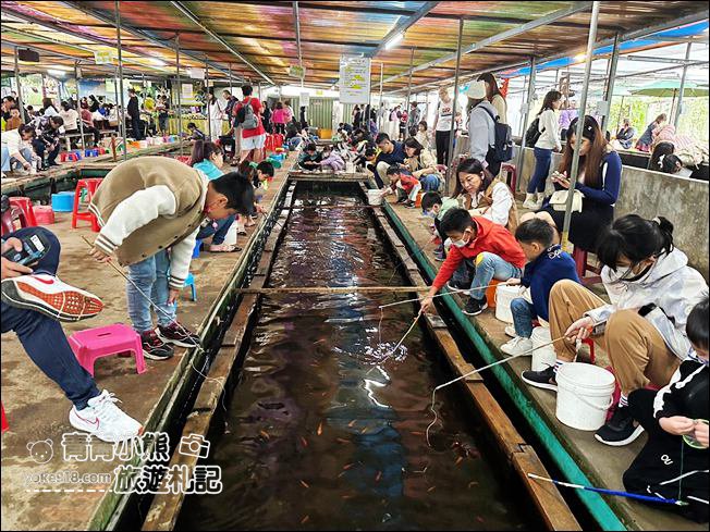 桃園親子景點》陽榮生態農場.可以撈魚釣青蛙、餵小羊,還有可愛的小動物都在這 @青青小熊*旅遊札記 桃園親子景點》陽榮生態農場.可以撈魚釣青蛙、餵小羊,還有可愛的小動物都在這 @青青小熊*旅遊札記