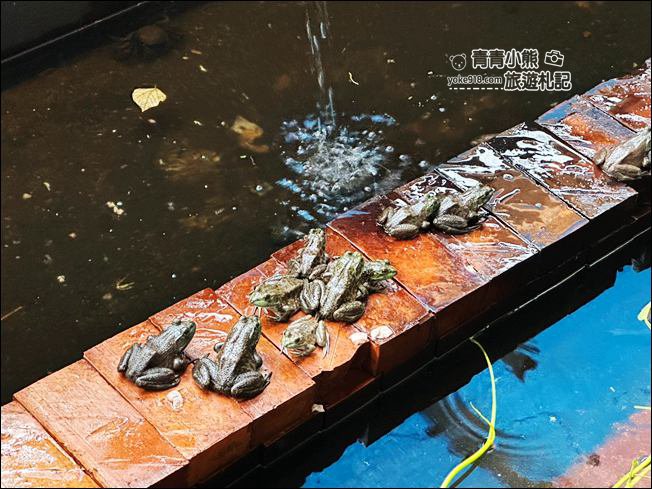 桃園親子景點》陽榮生態農場.可以撈魚釣青蛙、餵小羊,還有可愛的小動物都在這 @青青小熊*旅遊札記 桃園親子景點》陽榮生態農場.可以撈魚釣青蛙、餵小羊,還有可愛的小動物都在這 @青青小熊*旅遊札記