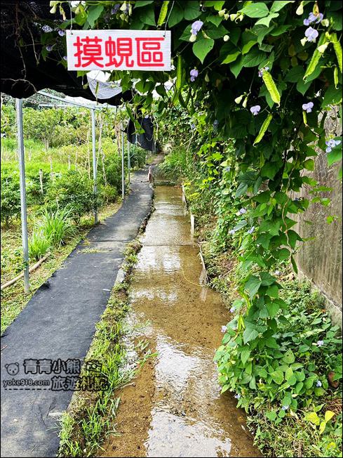 桃園親子景點》陽榮生態農場.可以撈魚釣青蛙、餵小羊,還有可愛的小動物都在這 @青青小熊*旅遊札記 桃園親子景點》陽榮生態農場.可以撈魚釣青蛙、餵小羊,還有可愛的小動物都在這 @青青小熊*旅遊札記