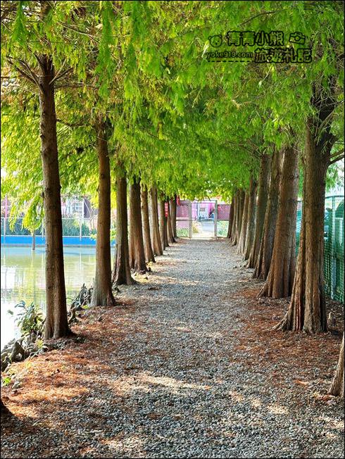 雲林景點》滿滿的粉紅泡泡，浪漫莊園拍照去~水上涼亭太放空 @青青小熊＊旅遊札記