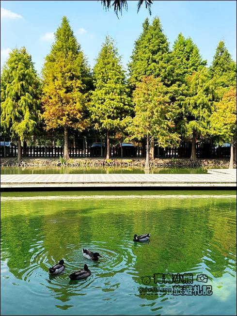 雲林景點》滿滿的粉紅泡泡，浪漫莊園拍照去~水上涼亭太放空 @青青小熊＊旅遊札記