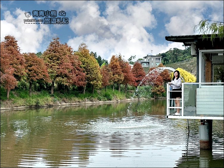 嘉義景點》迷霧松境落羽松已變色~免門票景點,池塘旁的夢幻落羽松林 @青青小熊*旅遊札記 嘉義景點》迷霧松境落羽松已變色~免門票景點,池塘旁的夢幻落羽松林 @青青小熊*旅遊札記