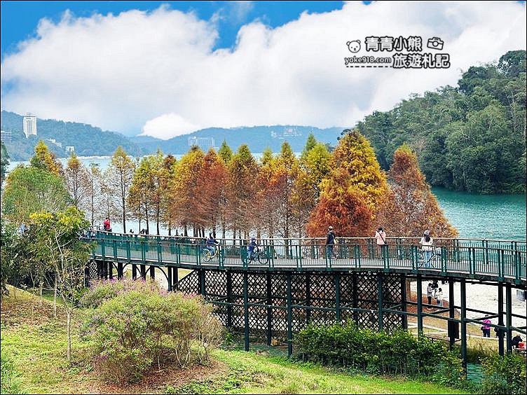 南投景點》日月潭全台最美的向山自行車道落羽松紅了，這裡變的好夢幻 @青青小熊＊旅遊札記