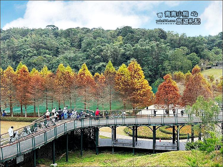 南投景點》日月潭全台最美的向山自行車道落羽松紅了，這裡變的好夢幻 @青青小熊＊旅遊札記