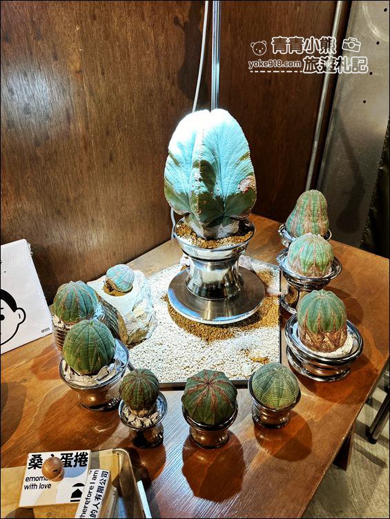 南投新景點》埔里桑心實驗室 emoLab~露營風咖啡廳，還有沙漠仙人掌，連月亮都來 @青青小熊＊旅遊札記