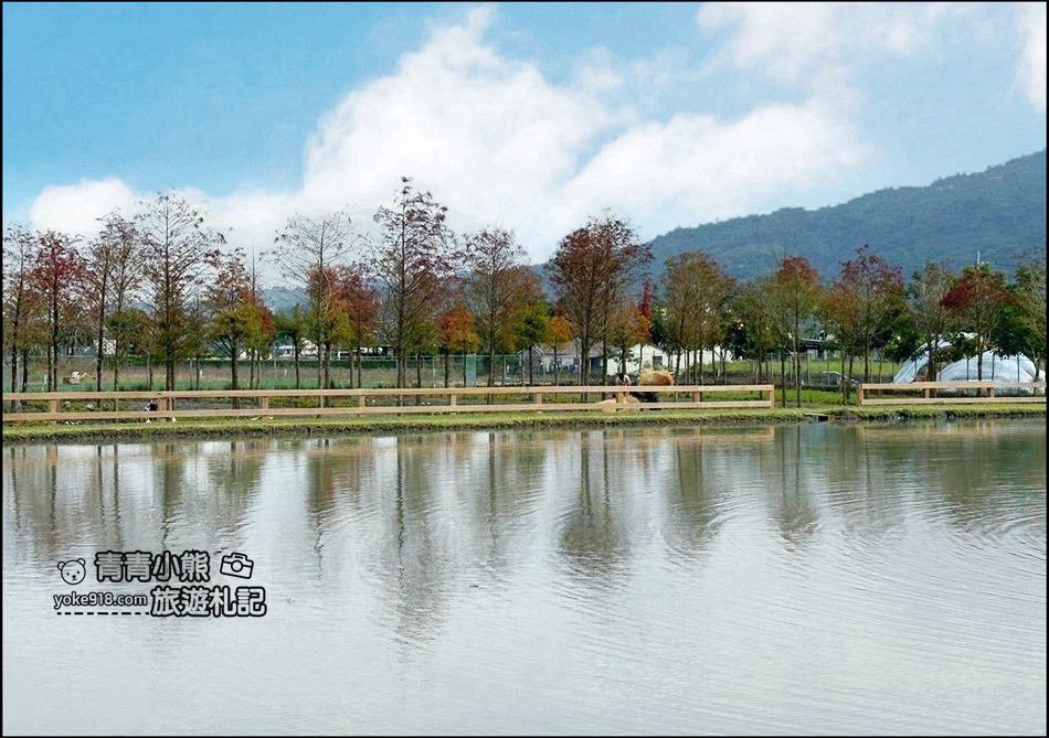 宜蘭景點》稻庄親子休閒農場,小朋友愛的電動拖拉機免費開,還有小動物跟仙人掌DIY @青青小熊*旅遊札記 宜蘭景點》稻庄親子休閒農場,小朋友愛的電動拖拉機免費開,還有小動物跟仙人掌DIY @青青小熊*旅遊札記