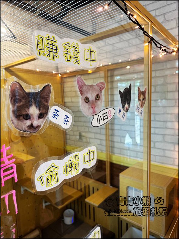 宜蘭頭城美食》屋台拉麵~可以擼貓的拉麵店,小菜多樣、拉麵也好吃 @青青小熊*旅遊札記 宜蘭頭城美食》屋台拉麵~可以擼貓的拉麵店,小菜多樣、拉麵也好吃 @青青小熊*旅遊札記