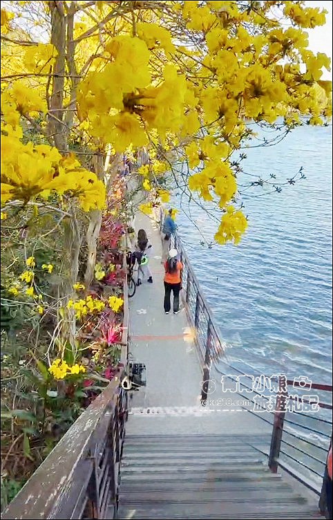 新竹峨眉景點》峨眉一日遊去哪玩？必玩景點推薦~情侶、親子同遊來這玩 @青青小熊＊旅遊札記