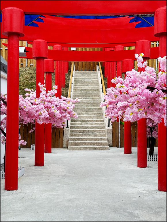 花蓮景點》月崖灣親子農場~濃濃日本味,還有櫻花千鳥居好好拍 @青青小熊*旅遊札記 花蓮景點》月崖灣親子農場~濃濃日本味,還有櫻花千鳥居好好拍 @青青小熊*旅遊札記