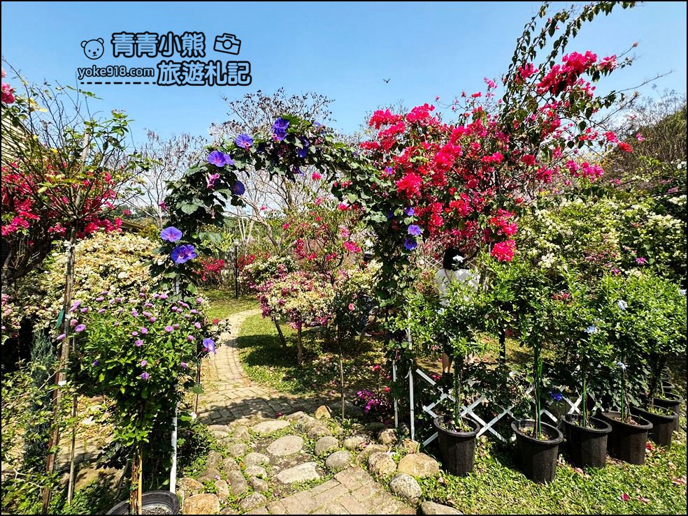 南投景點》瑰蜜甜心玫瑰園~季節限定粉紅山丘麝香木祕境，一片夢幻粉紫仙氣飄飄超好拍 @青青小熊＊旅遊札記
