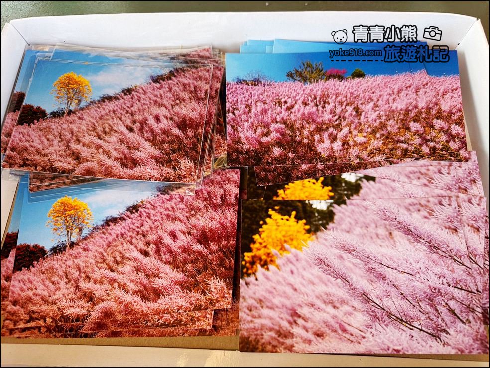 南投景點》瑰蜜甜心玫瑰園~季節限定粉紅山丘麝香木祕境，一片夢幻粉紫仙氣飄飄超好拍 @青青小熊＊旅遊札記