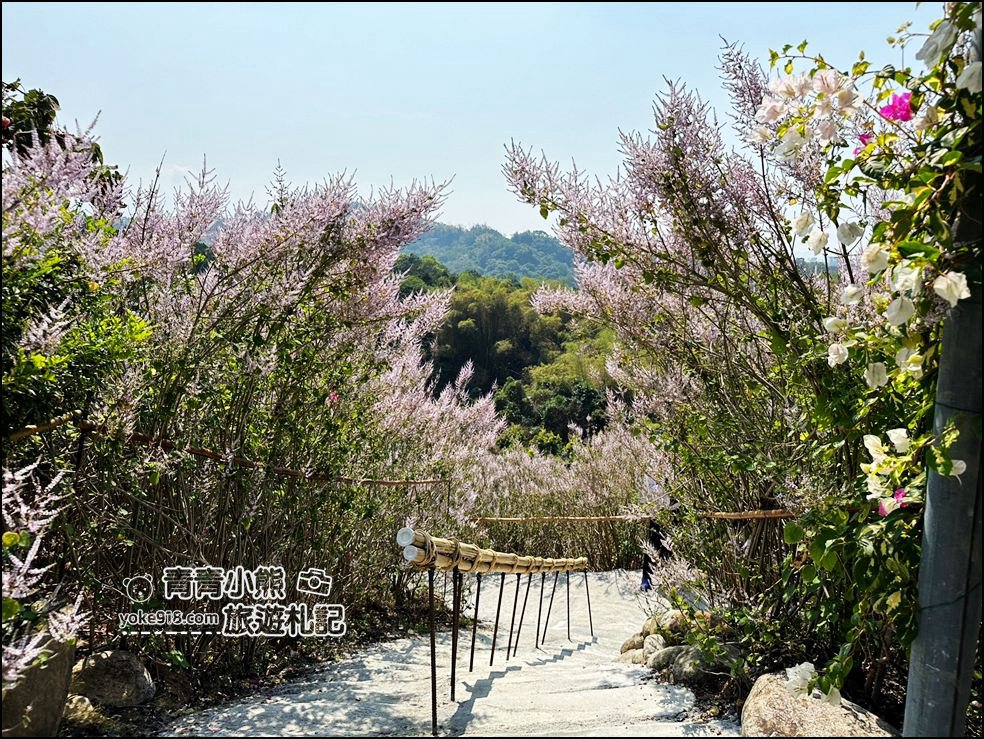 南投景點》瑰蜜甜心玫瑰園~季節限定粉紅山丘麝香木祕境，一片夢幻粉紫仙氣飄飄超好拍 @青青小熊＊旅遊札記
