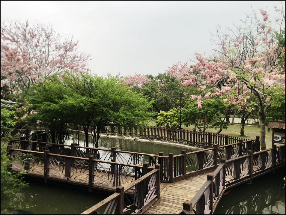 苗栗景點》山中的甜蜜城堡巧克力雲莊,賞花吃甜點還有DIY,住宿泡湯玩水也超讚 @青青小熊*旅遊札記 苗栗景點》山中的甜蜜城堡巧克力雲莊,賞花吃甜點還有DIY,住宿泡湯玩水也超讚 @青青小熊*旅遊札記