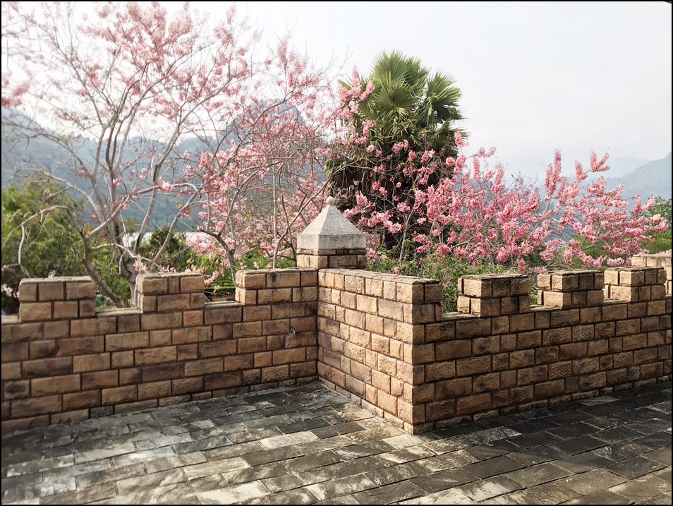 苗栗景點》山中的甜蜜城堡巧克力雲莊,賞花吃甜點還有DIY,住宿泡湯玩水也超讚 @青青小熊*旅遊札記 苗栗景點》山中的甜蜜城堡巧克力雲莊,賞花吃甜點還有DIY,住宿泡湯玩水也超讚 @青青小熊*旅遊札記