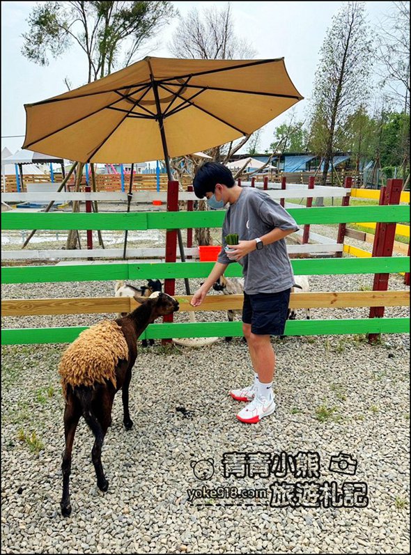嘉義中埔新景點》萌寵村親子樂園，嘉義新的動物農場~可以與小動物互動還有遊戲設施的新園區 @青青小熊＊旅遊札記