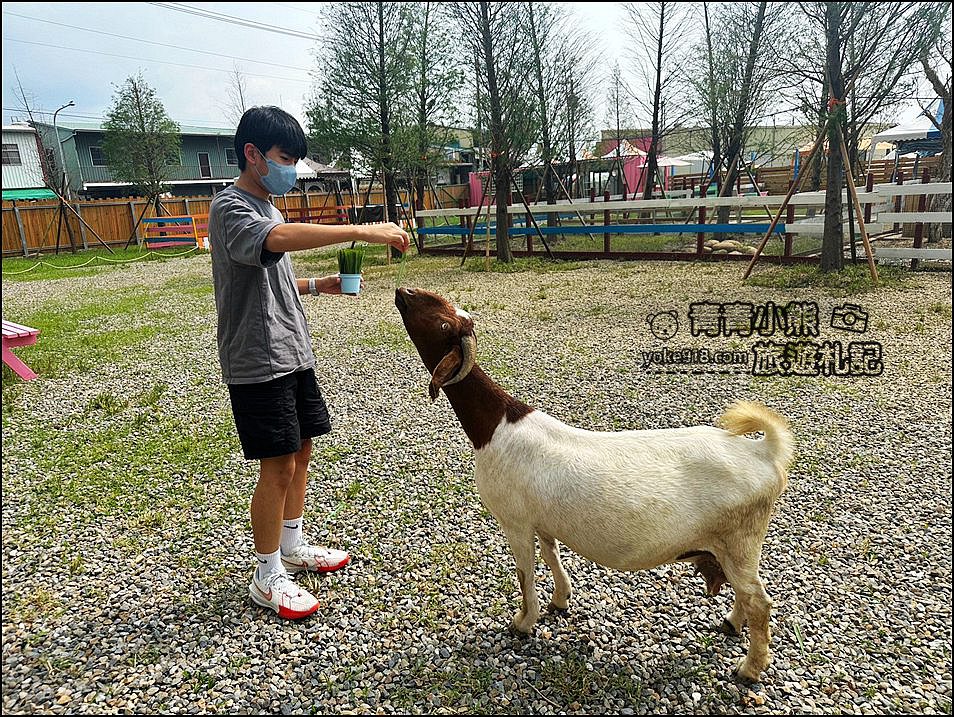 嘉義中埔新景點》萌寵村親子樂園,嘉義新的動物農場~可以與小動物互動還有遊戲設施的新園區 @青青小熊*旅遊札記 嘉義中埔新景點》萌寵村親子樂園,嘉義新的動物農場~可以與小動物互動還有遊戲設施的新園區 @青青小熊*旅遊札記