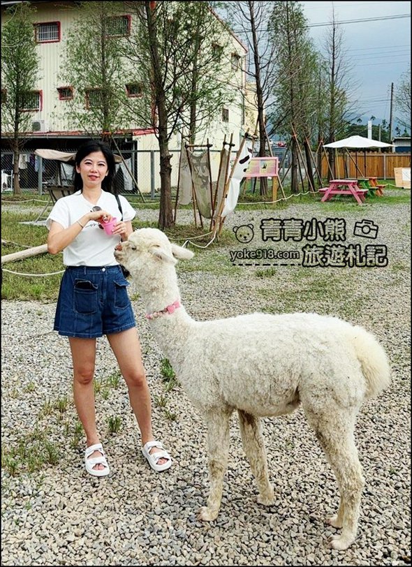嘉義中埔新景點》萌寵村親子樂園,嘉義新的動物農場~可以與小動物互動還有遊戲設施的新園區 @青青小熊*旅遊札記 嘉義中埔新景點》萌寵村親子樂園,嘉義新的動物農場~可以與小動物互動還有遊戲設施的新園區 @青青小熊*旅遊札記