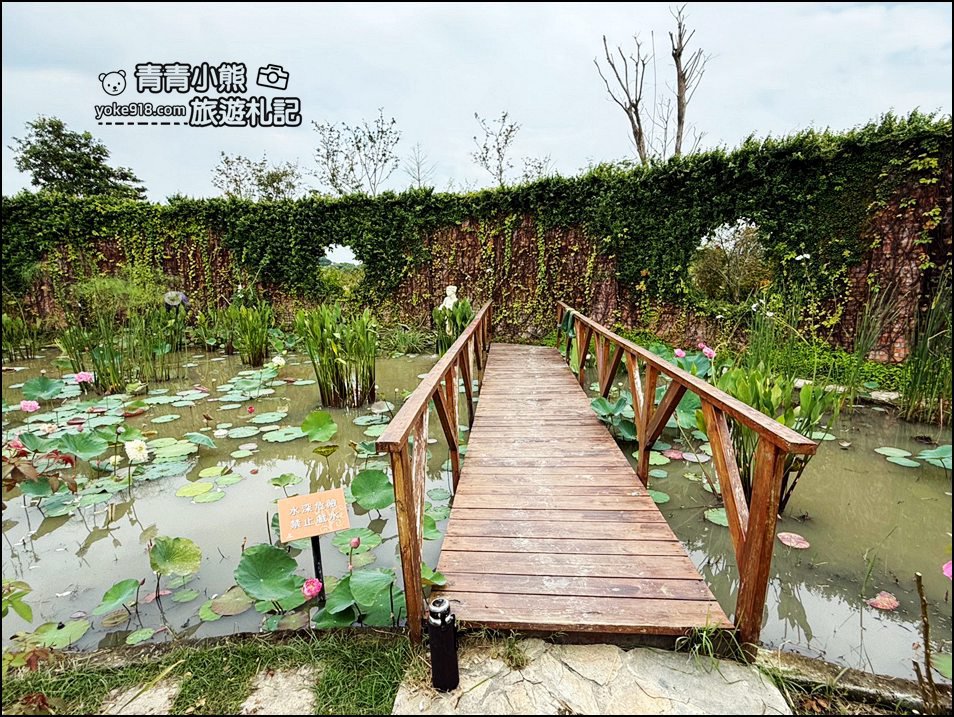 台南景點》雅聞湖濱療癒森林玫瑰花季,玫瑰盛開好漂亮~還有好可愛的歐式小屋超好拍。 @青青小熊*旅遊札記 台南景點》雅聞湖濱療癒森林玫瑰花季,玫瑰盛開好漂亮~還有好可愛的歐式小屋超好拍。 @青青小熊*旅遊札記