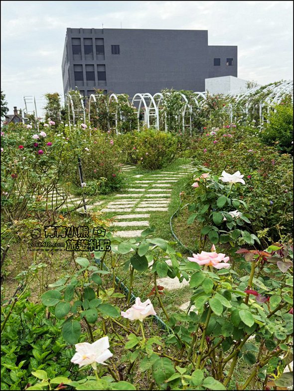 台南景點》雅聞湖濱療癒森林玫瑰花季,玫瑰盛開好漂亮~還有好可愛的歐式小屋超好拍。 @青青小熊*旅遊札記 台南景點》雅聞湖濱療癒森林玫瑰花季,玫瑰盛開好漂亮~還有好可愛的歐式小屋超好拍。 @青青小熊*旅遊札記