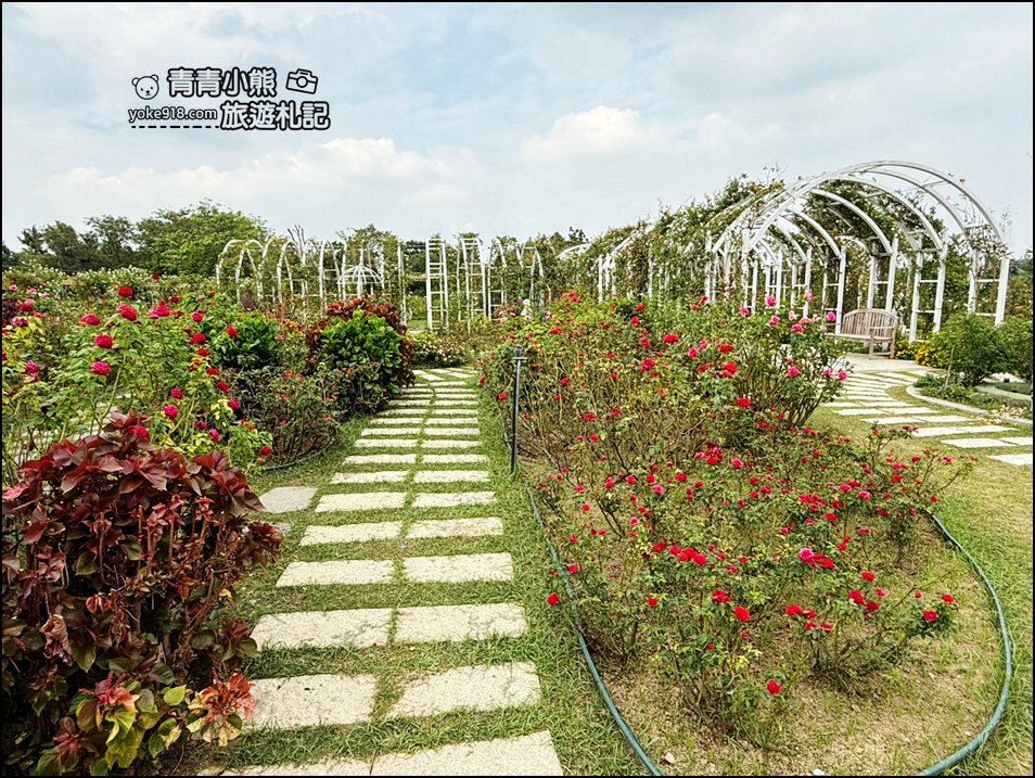 台南景點》雅聞湖濱療癒森林玫瑰花季，玫瑰盛開好漂亮~還有好可愛的歐式小屋超好拍。 @青青小熊＊旅遊札記