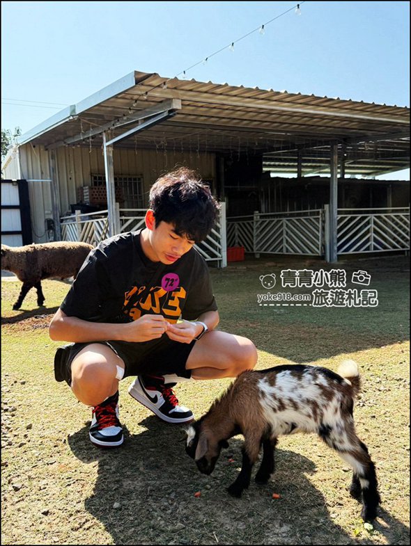 台中新景點》晴園秘境，可以看動物，賞夜景，冬天泡腳去，最新台中夜景動物泡腳餐廳 @青青小熊＊旅遊札記