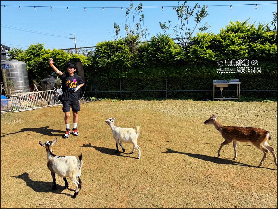台中新景點》晴園秘境,可以看動物,賞夜景,冬天泡腳去,最新台中夜景動物泡腳餐廳 @青青小熊*旅遊札記 台中新景點》晴園秘境,可以看動物,賞夜景,冬天泡腳去,最新台中夜景動物泡腳餐廳 @青青小熊*旅遊札記
