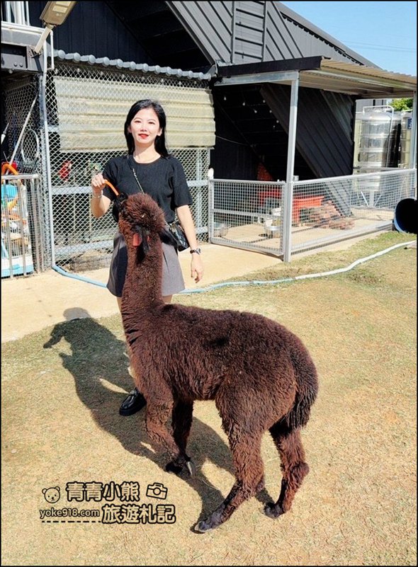 台中新景點》晴園秘境,可以看動物,賞夜景,冬天泡腳去,最新台中夜景動物泡腳餐廳 @青青小熊*旅遊札記 台中新景點》晴園秘境,可以看動物,賞夜景,冬天泡腳去,最新台中夜景動物泡腳餐廳 @青青小熊*旅遊札記