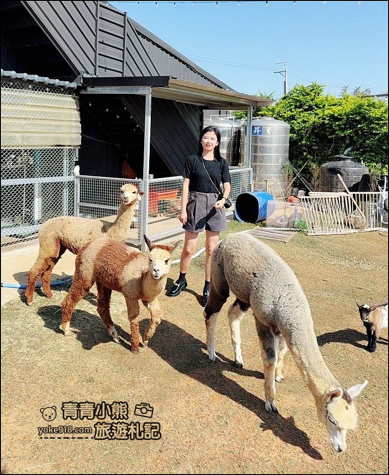 台中新景點》晴園秘境,可以看動物,賞夜景,冬天泡腳去,最新台中夜景動物泡腳餐廳 @青青小熊*旅遊札記 台中新景點》晴園秘境,可以看動物,賞夜景,冬天泡腳去,最新台中夜景動物泡腳餐廳 @青青小熊*旅遊札記