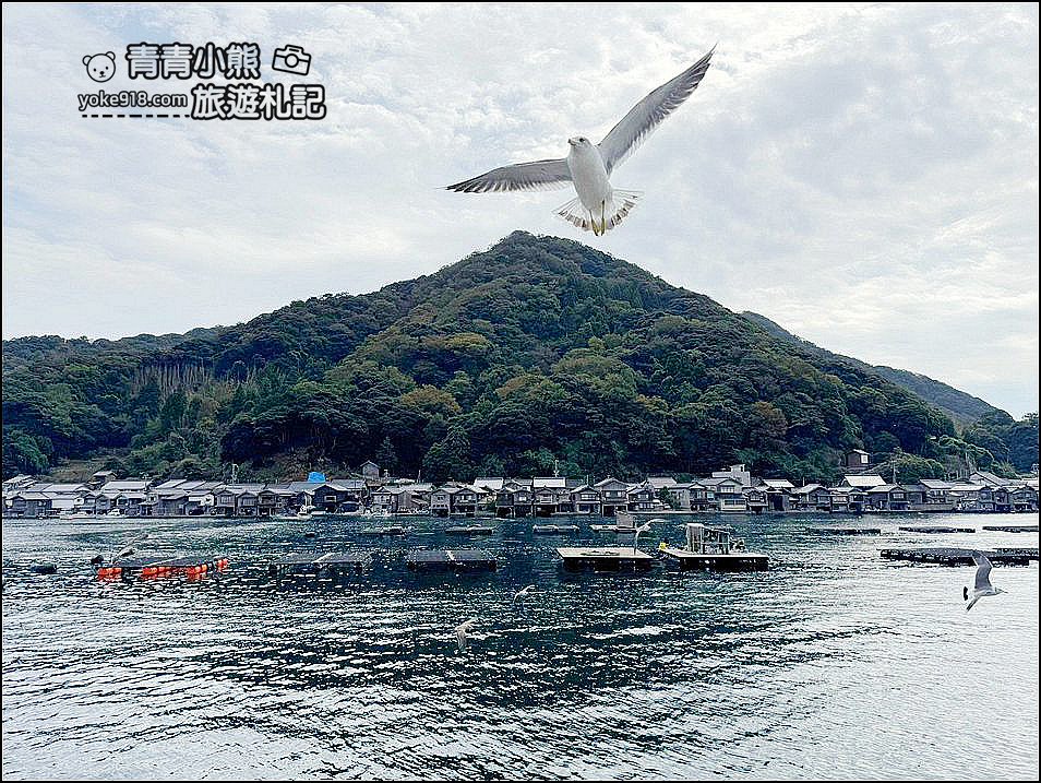 京都郊區一日遊推薦行程》天橋立＆伊根灣遊船＆美山茅屋之里輕鬆玩 @青青小熊＊旅遊札記