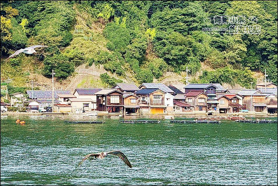 京都郊區一日遊推薦行程》天橋立&伊根灣遊船&美山茅屋之里輕鬆玩 @青青小熊*旅遊札記 京都郊區一日遊推薦行程》天橋立&伊根灣遊船&美山茅屋之里輕鬆玩 @青青小熊*旅遊札記