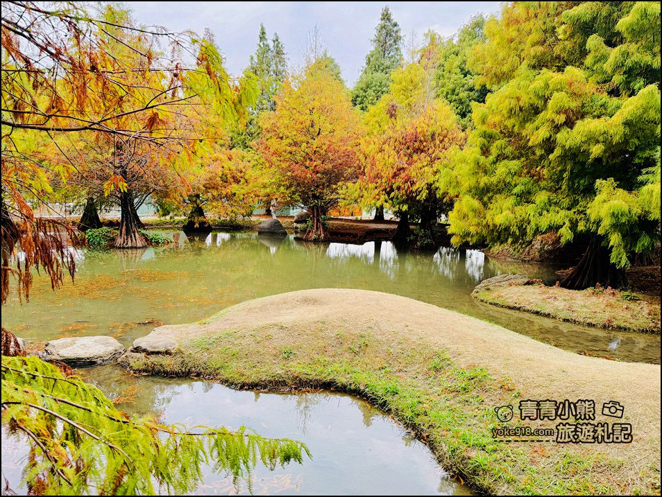 雲林落羽松景點》虎尾青埔落羽松.水池小山丘~小而美的園區好好拍 @青青小熊*旅遊札記 雲林落羽松景點》虎尾青埔落羽松.水池小山丘~小而美的園區好好拍 @青青小熊*旅遊札記