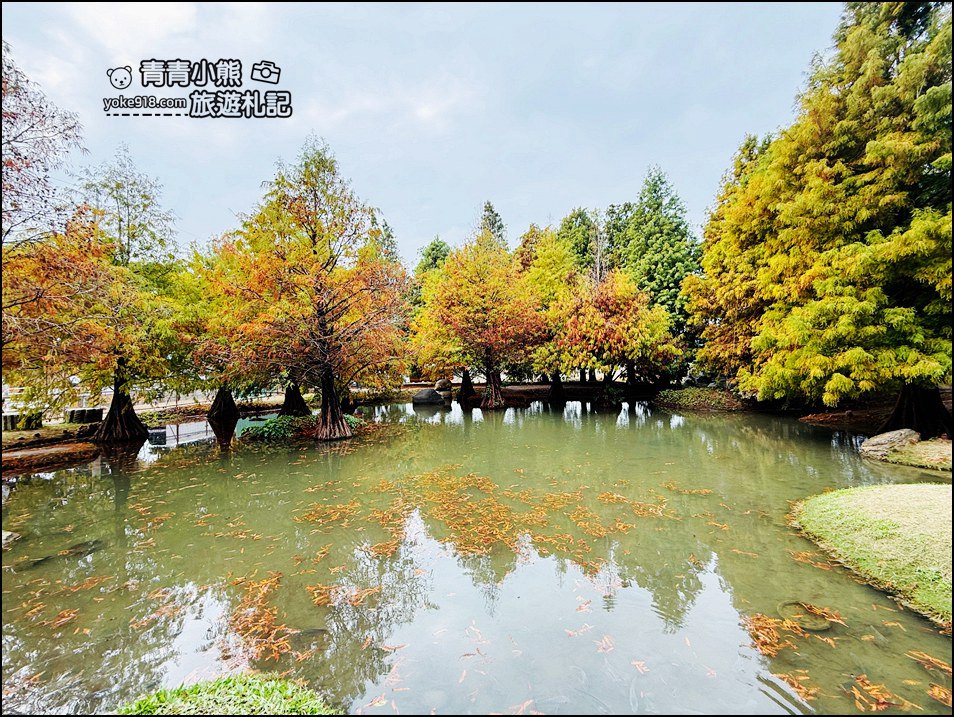 雲林落羽松景點》虎尾青埔落羽松.水池小山丘~小而美的園區好好拍 @青青小熊*旅遊札記 雲林落羽松景點》虎尾青埔落羽松.水池小山丘~小而美的園區好好拍 @青青小熊*旅遊札記