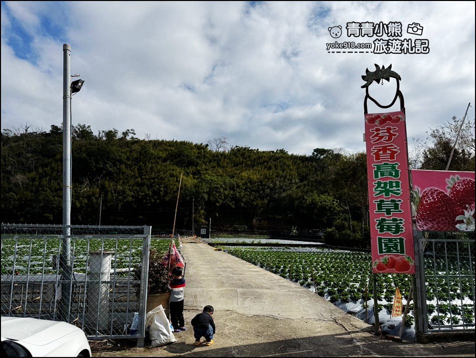 苗栗景點》芬香高架草莓園~2025大湖採草莓,草莓香甜可口,最新採草莓價格 @青青小熊*旅遊札記 苗栗景點》芬香高架草莓園~2025大湖採草莓,草莓香甜可口,最新採草莓價格 @青青小熊*旅遊札記