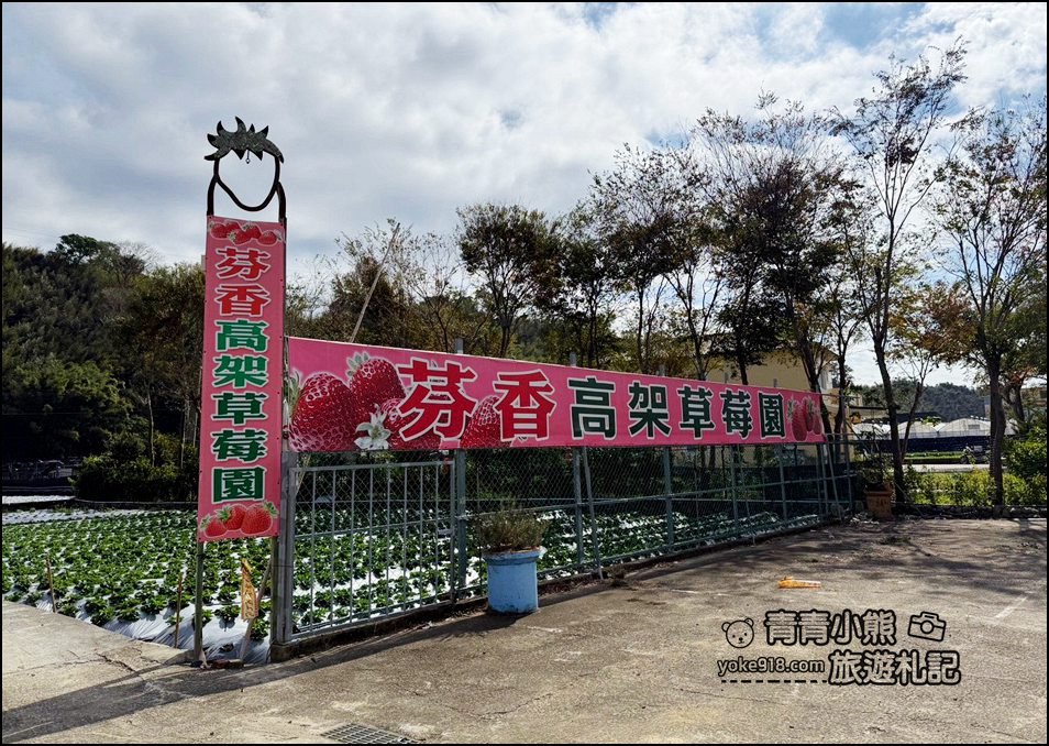 苗栗景點》芬香高架草莓園~2025大湖採草莓,草莓香甜可口,最新採草莓價格 @青青小熊*旅遊札記 苗栗景點》芬香高架草莓園~2025大湖採草莓,草莓香甜可口,最新採草莓價格 @青青小熊*旅遊札記