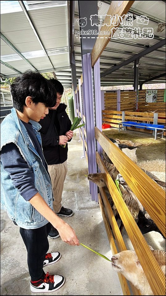 苗栗新景點》童萌農場，可以抱抱的泰迪羊超可愛，還有好多零食可以帶回家 @青青小熊＊旅遊札記