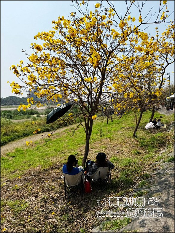 嘉義市潮風鈴》野餐音樂市集,好逛好熱鬧,還可以賞花聽歌逛野餐趣 @青青小熊*旅遊札記 嘉義市潮風鈴》野餐音樂市集,好逛好熱鬧,還可以賞花聽歌逛野餐趣 @青青小熊*旅遊札記