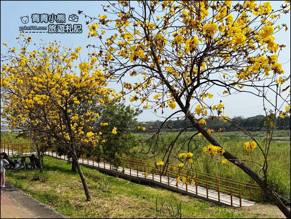 嘉義市潮風鈴》野餐音樂市集,好逛好熱鬧,還可以賞花聽歌逛野餐趣 @青青小熊*旅遊札記 嘉義市潮風鈴》野餐音樂市集,好逛好熱鬧,還可以賞花聽歌逛野餐趣 @青青小熊*旅遊札記