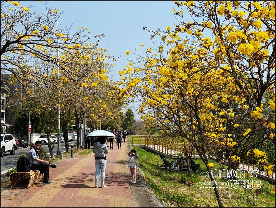 嘉義市潮風鈴》野餐音樂市集,好逛好熱鬧,還可以賞花聽歌逛野餐趣 @青青小熊*旅遊札記 嘉義市潮風鈴》野餐音樂市集,好逛好熱鬧,還可以賞花聽歌逛野餐趣 @青青小熊*旅遊札記