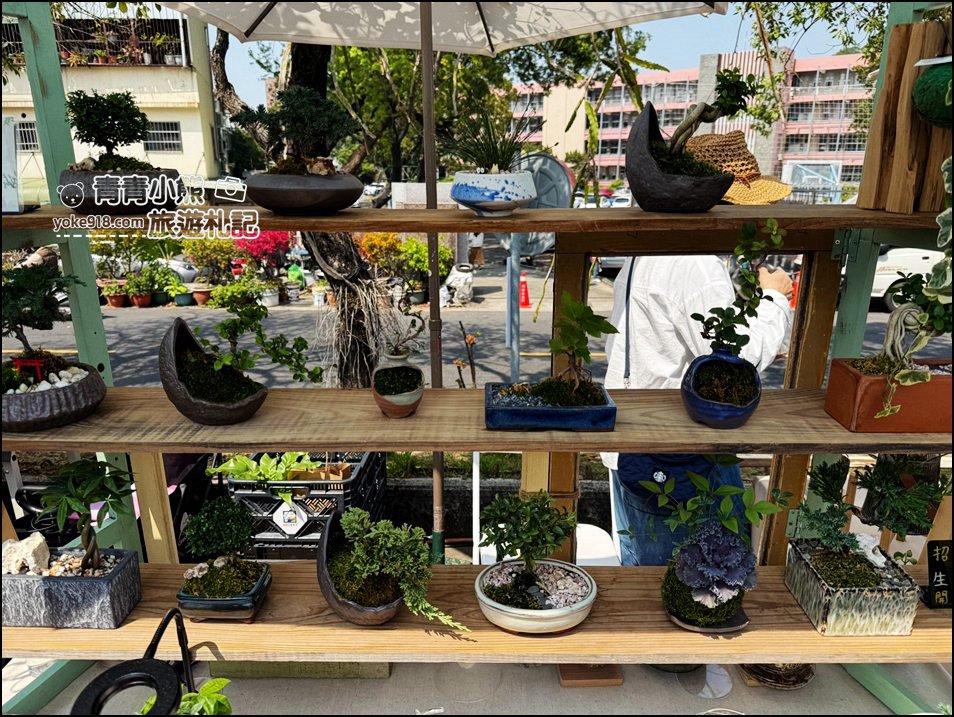 嘉義市潮風鈴》野餐音樂市集，好逛好熱鬧，還可以賞花聽歌逛野餐趣 @青青小熊＊旅遊札記