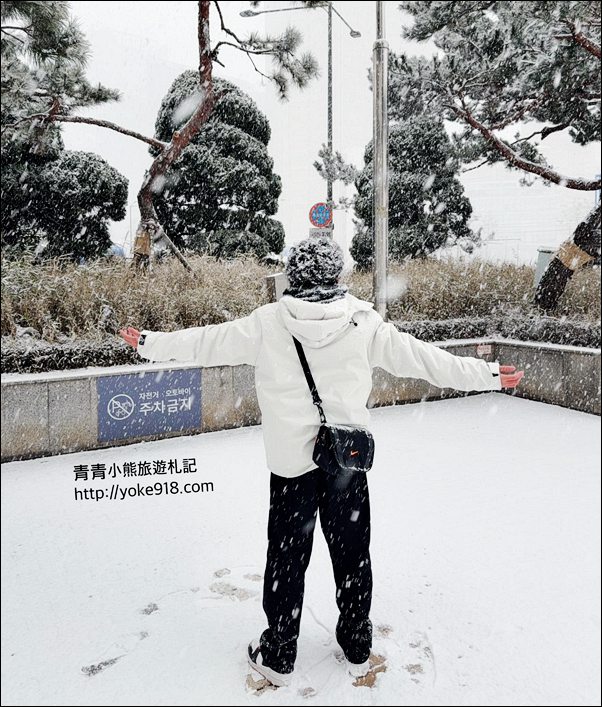 首爾樂天世界》結合樂天樂園.商場.水族館，還有超高樂天塔，超好玩一天也玩不完 @青青小熊＊旅遊札記