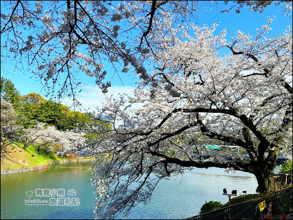 東京賞櫻景點推薦》千鳥之淵~看不到盡頭的櫻花盛開,迷人景致讓人流連忘返 @青青小熊*旅遊札記 東京賞櫻景點推薦》千鳥之淵~看不到盡頭的櫻花盛開,迷人景致讓人流連忘返 @青青小熊*旅遊札記