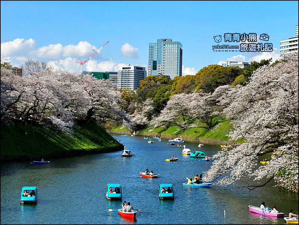 東京賞櫻景點推薦》千鳥之淵~看不到盡頭的櫻花盛開，迷人景致讓人流連忘返 @青青小熊＊旅遊札記