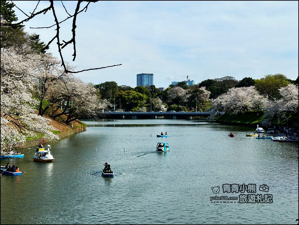 東京賞櫻景點推薦》千鳥之淵~看不到盡頭的櫻花盛開,迷人景致讓人流連忘返 @青青小熊*旅遊札記 東京賞櫻景點推薦》千鳥之淵~看不到盡頭的櫻花盛開,迷人景致讓人流連忘返 @青青小熊*旅遊札記