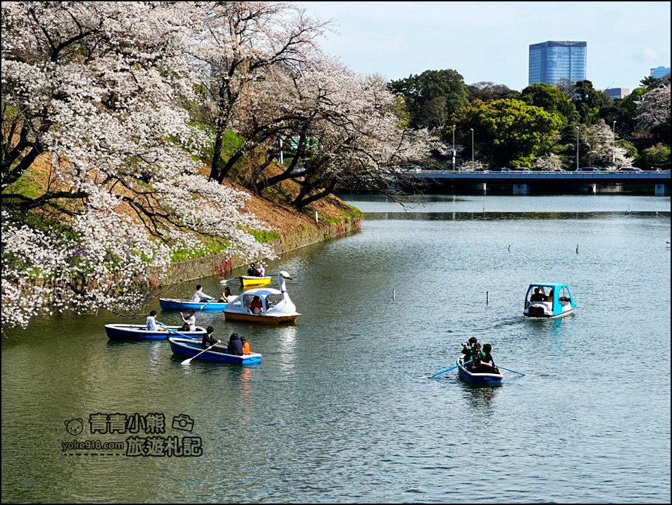 東京賞櫻景點推薦》千鳥之淵~看不到盡頭的櫻花盛開，迷人景致讓人流連忘返 @青青小熊＊旅遊札記